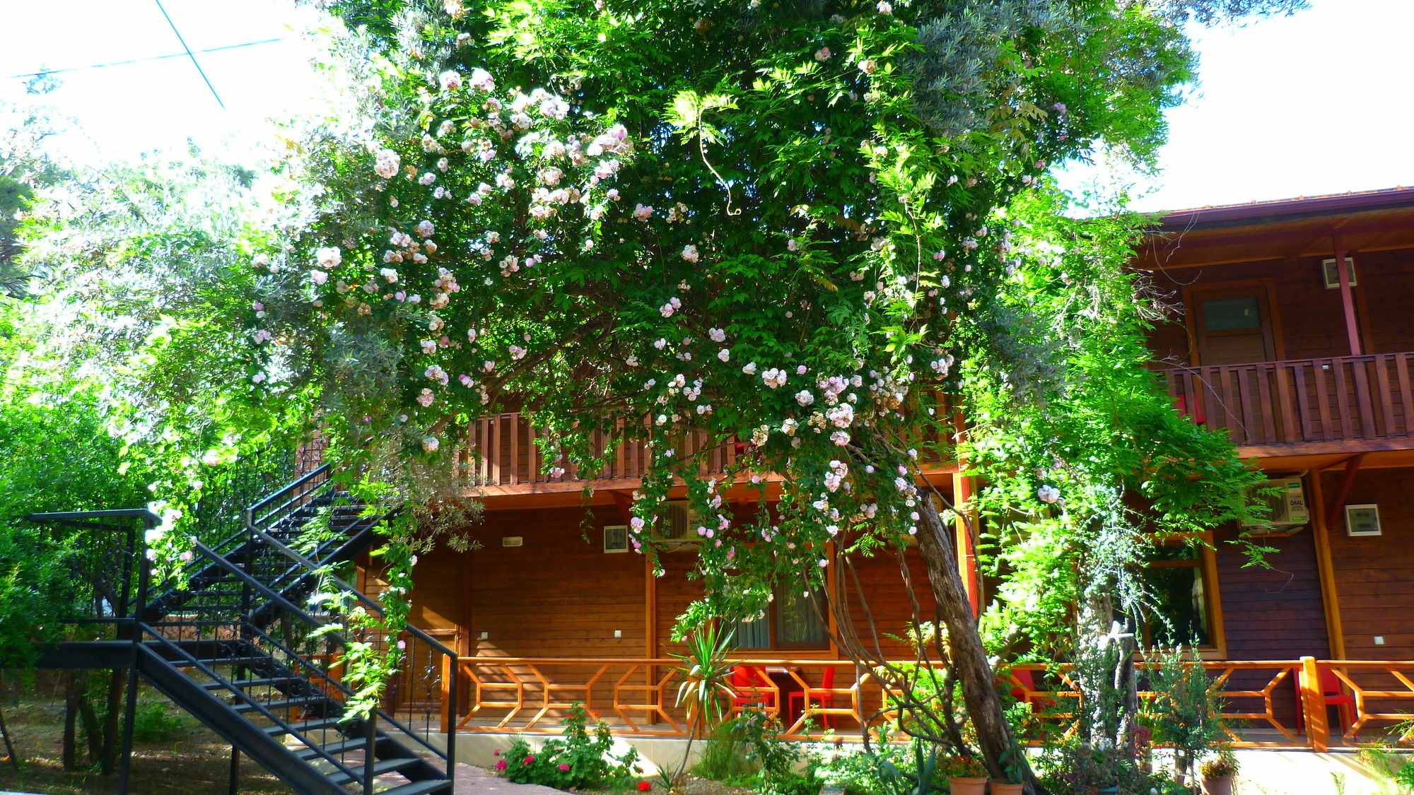 Cirali Simge Holiday Houses Екстер'єр фото